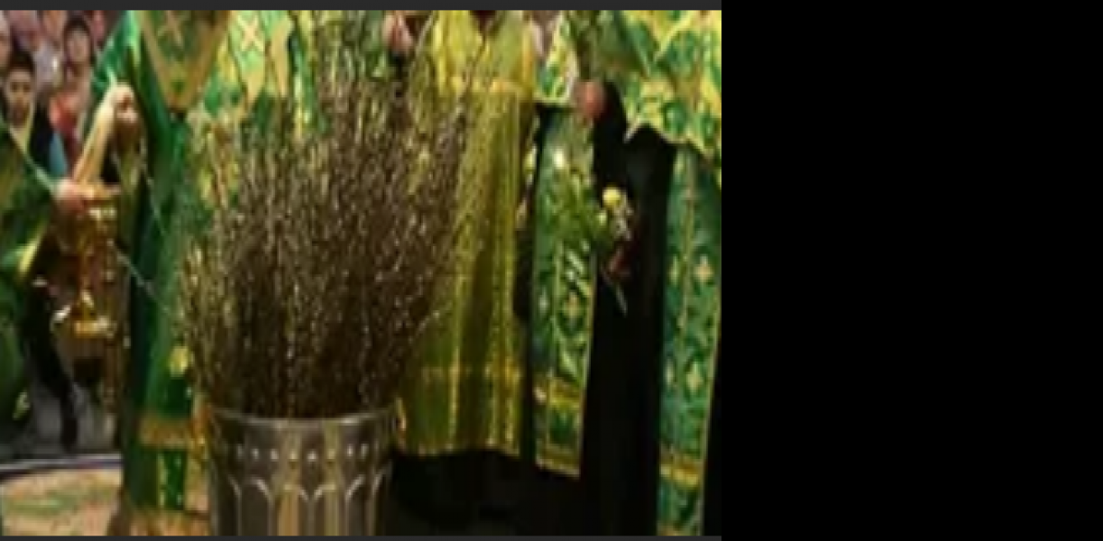 Патриарх Кирилл освятил вербы в канун праздника Входа Господня в Иерусалим