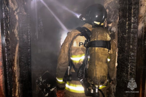 На пожаре в Самарской области погиб мужчина