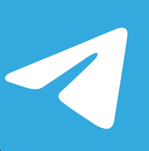 Роскомнадзор с 1 марта ограничит передачу платежной информации в приложении Telegram