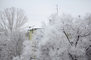Самарскую область накроет снегопад