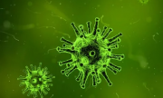 Всплеск заболеваемости новым штаммом коронавируса в России прогнозируется на конец мая