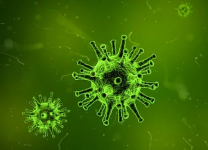 Всплеск заболеваемости новым штаммом коронавируса в России прогнозируется на конец мая