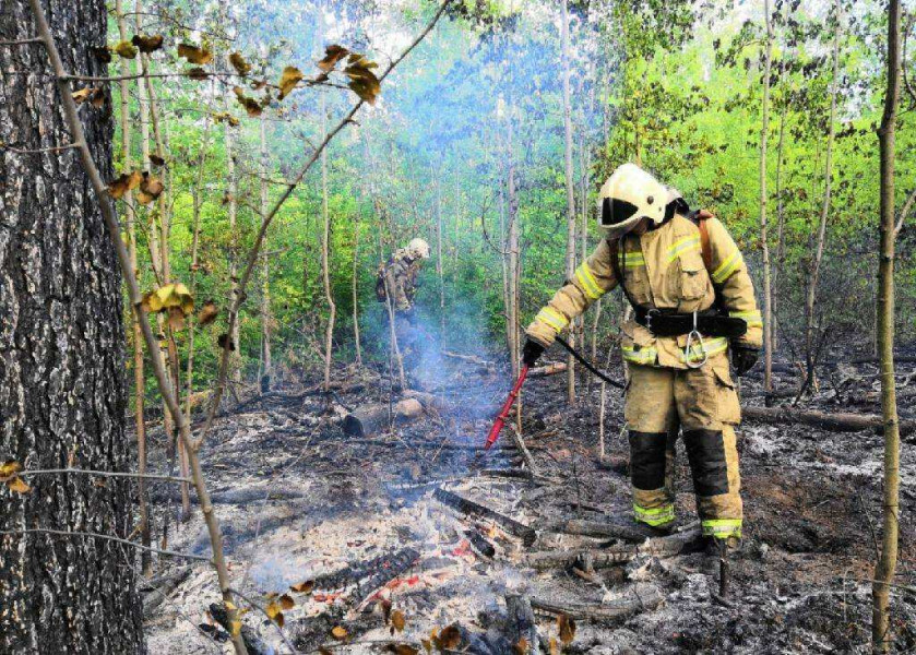 Спасатели ликвидировали возгорание травы в Тольяттинском городском лесничестве