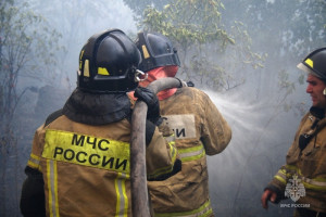 Из которых произошло в городских округах, 14 - в муниципальных районах Самарской области.