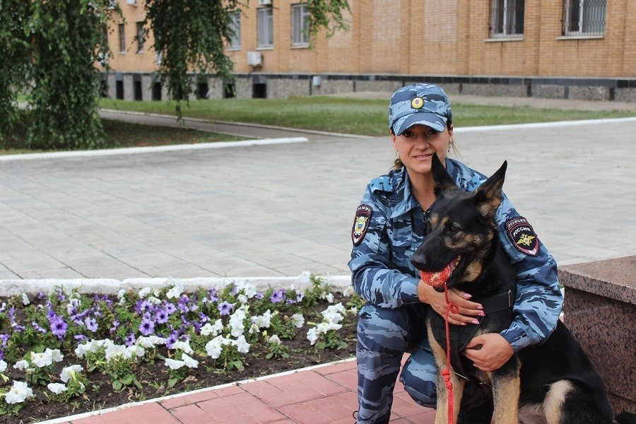 Фото в полицию