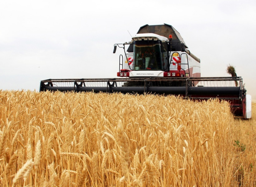 В Самарской области сельхозпроизводители убрали уже 44% посевных площадей зерновых и зернобобовых культур