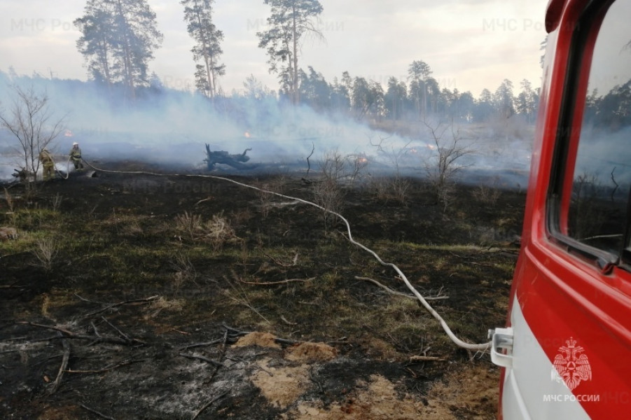 За прошедшую неделю добровольцы приняли участие в тушении 43 региональных пожаров