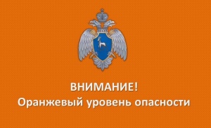 Главное управление МЧС России по Самарской области напоминает о соблюдении мер пожарной безопасности в условиях особого противопожарного режима.