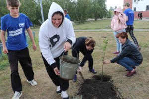 В Самарской области появятся яблоневые аллеи. С этой инициативой вышли активисты Самарского регионального отделения «Единой России» и «Молодой гвардии».