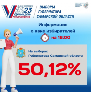 В Самаре выбор сделали 405 387 человек (43,88% от общего числа избирателей).
