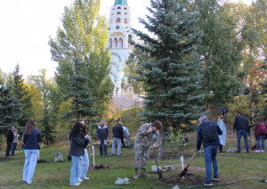 В Самаре посадили березовую рощу