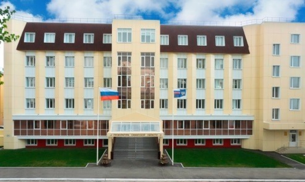 Студент и почтальон в Жигулевске пытались незаконно собирать сведения о жителе города