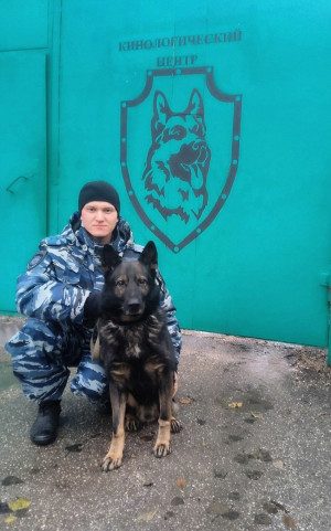 В Тольятти служебная собака нашла наркотики у женщины