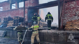 Крупный пожар в Тольятти: горит крыша продуктового склада