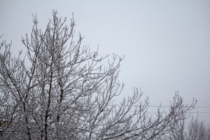 Сегодня местами по Самарской области ожидается сильный снег