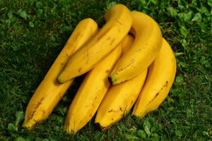 Росстат сообщил о резком росте розничной цены килограмма бананов