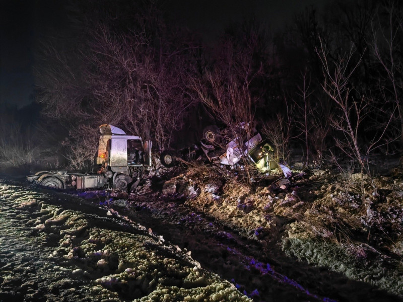 В Самарской области водитель МАЗа погиб при столкновении грузовика с лосем