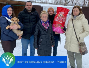 Волонтеры Управления Росреестра по Самарской области помогли приюту для животных
