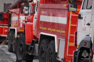 В выходные в Самарской области огнеборцы спасли на пожаре 3 человек