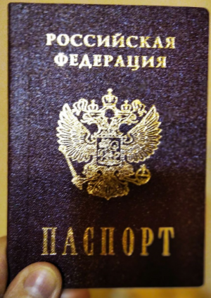 Джонсон в 2023 году выразил желание получить гражданство РФ и заявил о намерении сменить имя на Кевин Владимирович.