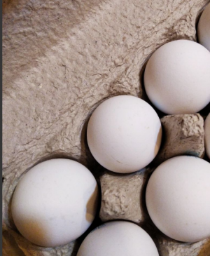 Глава Росптицесоюза исключила снижение цен на яйца.