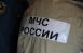 «Уничтожено примерно 2/3 памятника природы»: биологи подсчитывают потери из-за пожара в лесу под Сызранью