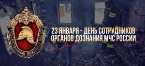 За год дознавателями МЧС России возбуждено порядка тысячи уголовных дел по фактам пожаров