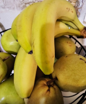 В феврале Россельхознадзор, обеспокоенный ситуацией с поставками бананов из Эквадора, в которых нашли муху-горбатку.