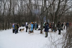 Участники Хаски Трипа в компании дружелюбных собак поднимутся на Лысую гору, Барсук и Полку.