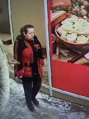 Тольяттинские полицейские устанавливают личность и местонахождение подозреваемой в мошенничестве