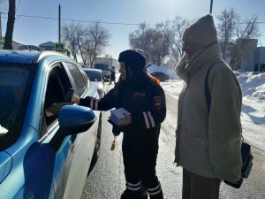 В Самарской области полицейские и общественники напомнили водителям ПДД