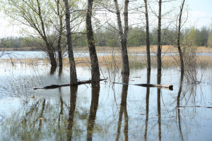 Уровень реки Урал в Орске за сутки опустился на 184 см