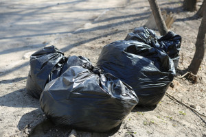 По всей России пройдут соревнования по сбору и сортировке мусора «Чистые Игры»