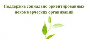 В Самарской области стартовал прием заявок на конкурс грантов СОНКО