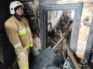 С начала 2024 года в Самарской области произошло 316 таких пожаров. Погибло 26 человек, пять из которых - дети. Пострадали 14 человек.