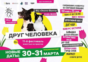 Одиннадцатый фестиваль-выставка животных из приютов «Друг Человека» состоится в Самаре 30 и 31 марта