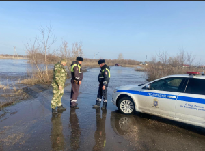 В Самарской области полицейские проводят подворные обходы сельских поселений, попавших в зону подтопления.