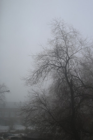 До конца дня 7 апреля, ночью и утром 8 апреля местами по Самарской области сохранится туман