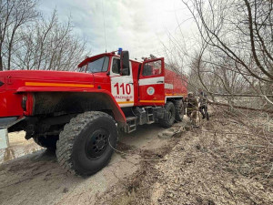 В Красноярском муниципальном районе дважды загоралась трава