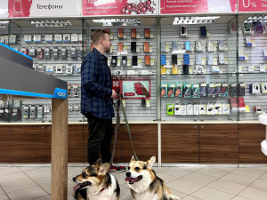 МТС в Самарской области открыла свои магазины для домашних животных