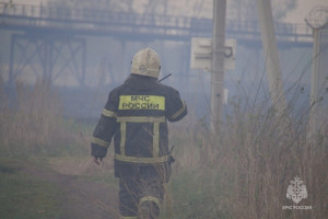 С начала года пожарные Самарского региона выезжали на тушение 43 природных пожаров на общей площади более 2,9 га