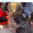В Самарской области в селе в половодье спасли собаку