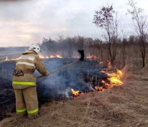 В Елховском районе горела сухая трава