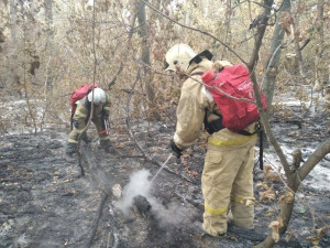 Два пожара в Богатовском районе: горела сухая трава