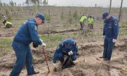 В Тольятти сотрудники областного МЧС России высадили «Сад памяти»