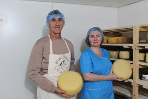Сейчас в фермерском хозяйстве производят 15 сортов сыра, но в перспективе ассортимент продукции планируют увеличить в три раза.