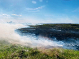 В Безенчукском районе горела сухая трава на площади 500 кв. метров