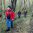 В Самарской области в лесу заблудился пожилой грибник
