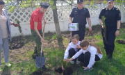 В Ставропольском районе полицейские присоединились к международной акции «Сад памяти»