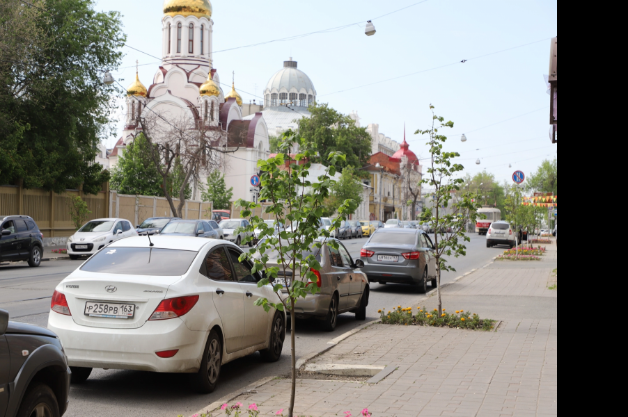 На улице Куйбышева, где идет ремонт, будет высажено 94 штамбовых липы и 3 403 куста кизильника